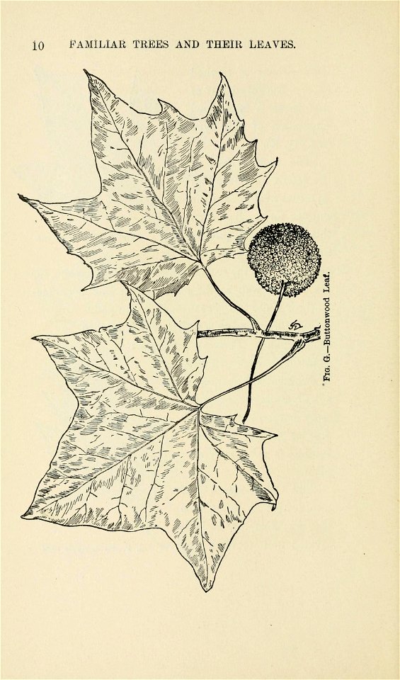 n35_w1150