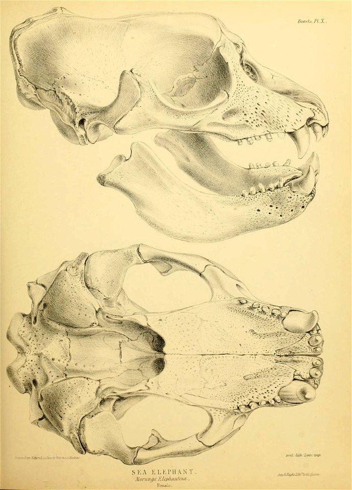 n138_w1150