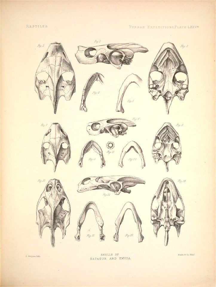 n198_w1150
