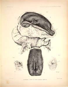 n108_w1150