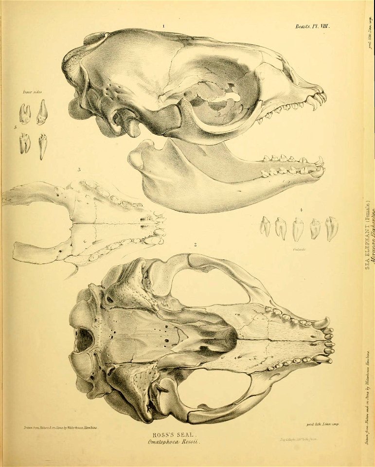 n134_w1150