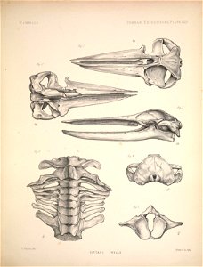 n134_w1150