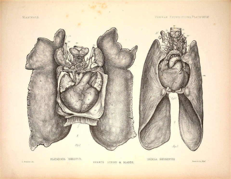 n104_w1150