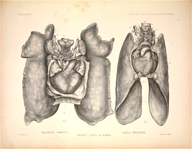n104_w1150