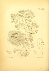 n365_w1150