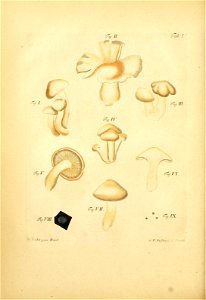 n163_w1150
