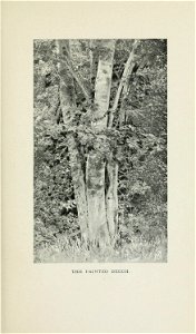 n24_w1150