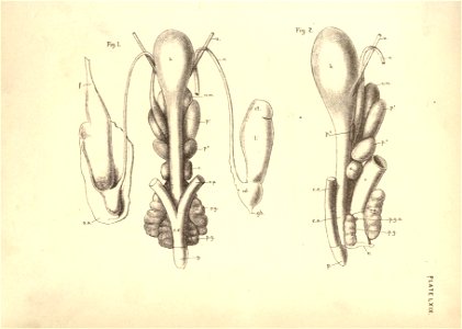 n154_w1150
