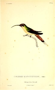 n352_w1150