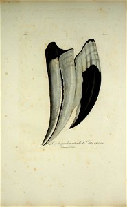 n106_w1150