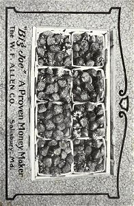 n39_w1150