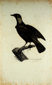 n468_w1150