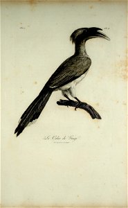 n158_w1150