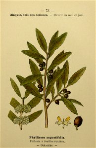 n158_w1150
