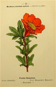 n98_w1150