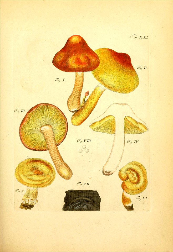 n134_w1150