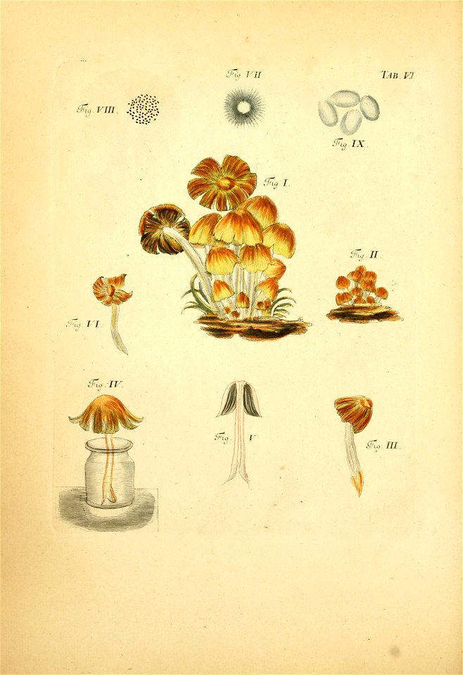 n119_w1150