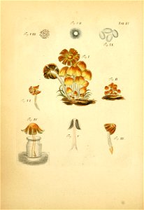 n119_w1150