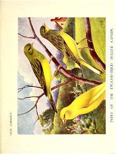 n504_w1150