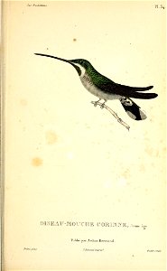 n296_w1150