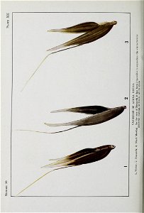 n111_w1150