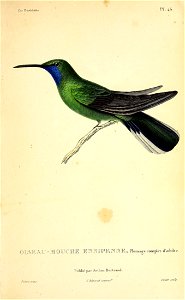 n320_w1150