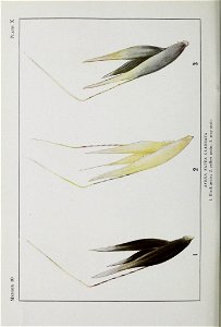 n109_w1150