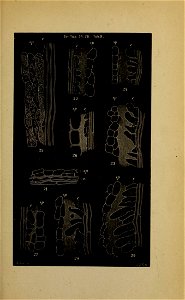 n202_w1150