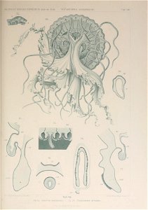 n88_w1150