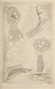n198_w1150