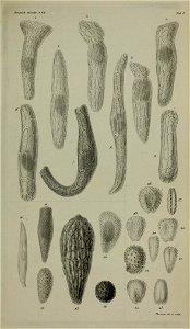n236_w1150