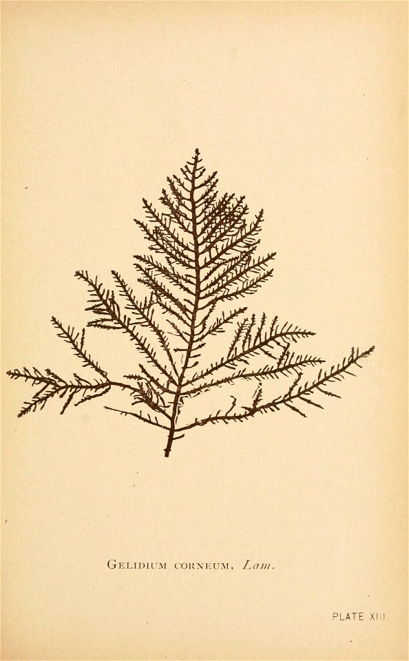 n250_w1150