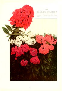 n122_w1150