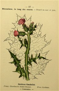 n126_w1150