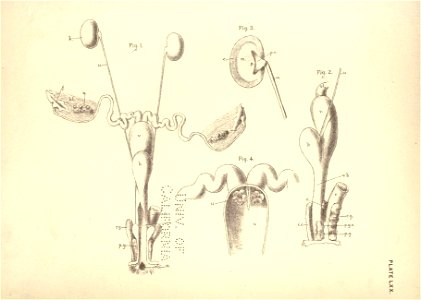 n156_w1150