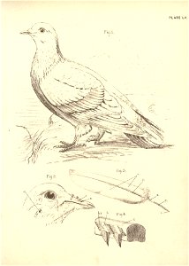 n126_w1150