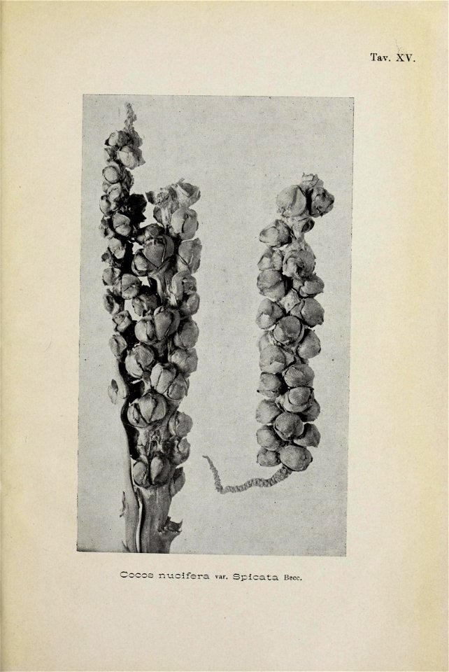 n162_w1150