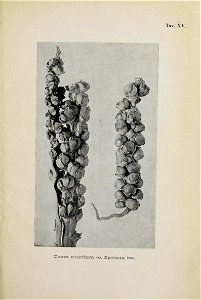 n162_w1150