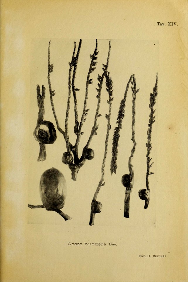 n160_w1150