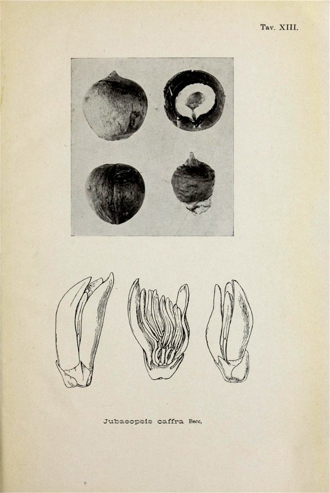 n158_w1150