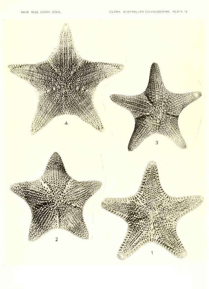 n686_w1150