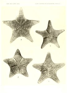 n686_w1150