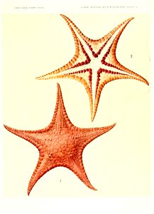 n626_w1150