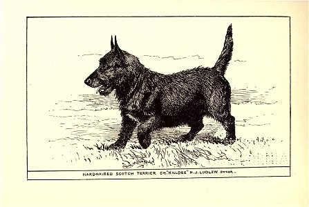 n166_w1150