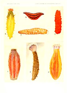 n678_w1150