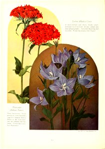 n119_w1150
