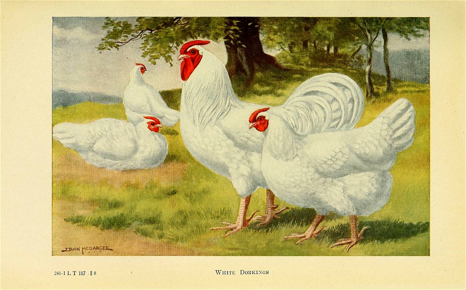 n474_w1150