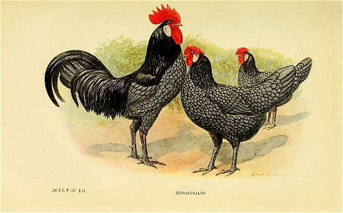 n612_w1150