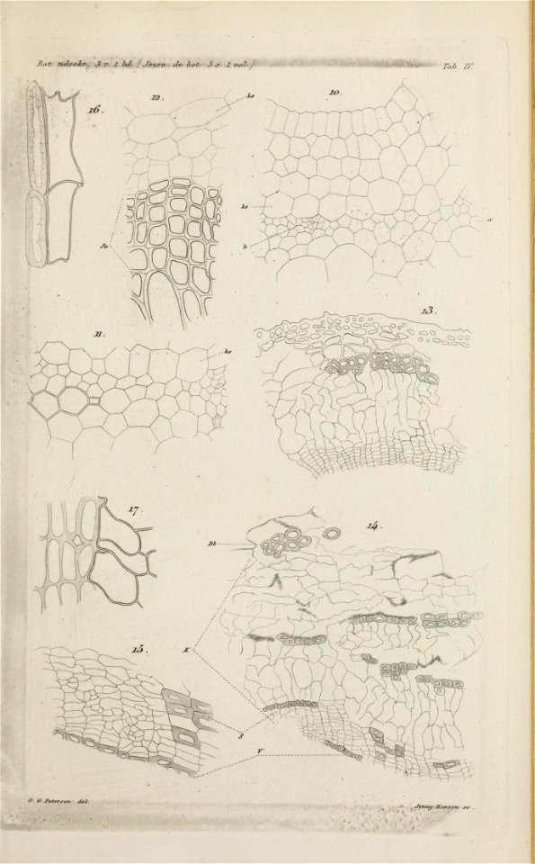 n158_w1150