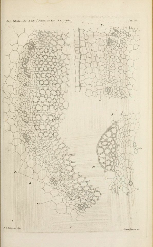 n156_w1150